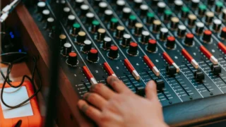 Rewilding: zašto se svjetsko poljoprivredno zemljište smanjuje i što to znači za prirodu