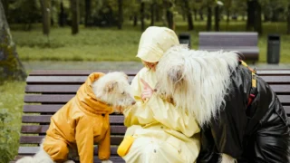 EU‑ske šume rastu brže od seče – što to znači za našu budućnost