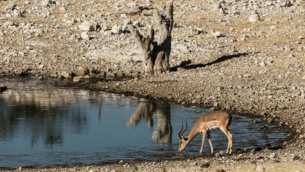 Croatia Airlines: Let koji je kružio iznad Zagreba i okolice