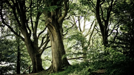 Luka i njegov video kanal: Priče o stranim radnicima u Hrvatskoj