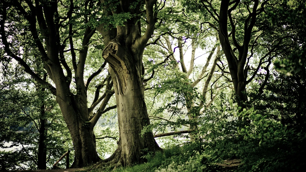 Luka i njegov video kanal: Priče o stranim radnicima u Hrvatskoj