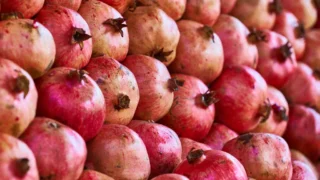 Odbijanje umjetne inteligencije: borba za našu dušu i slobodu