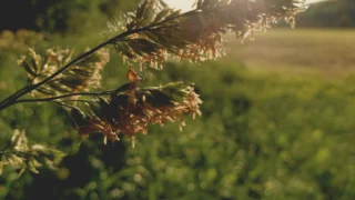 Croatia Airlines dobio osmi zrakoplov Airbus A220: nova era u floti