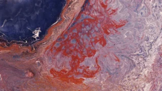 Best Food Croatia: Vaš vodič kroz najuzbudljivije gastronomske doživljaje u Hrvatskoj