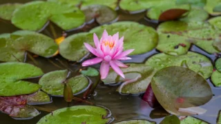 Croatia Airlines dočekao osmi Airbus A220: Modernizacija flote i perspektive do 2027.