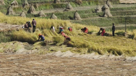 Sjedinjene Države plaćaju gotovo milijardu dolara francuskoj energetskoj tvrtki da ponište plan vjetroelektrane