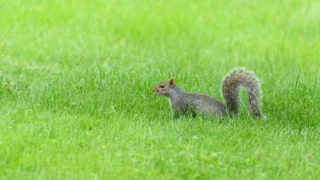 Velika pravna pobjeda Intuita: Sud ukinuo ograničenja za oglašavanje TurboTaxa