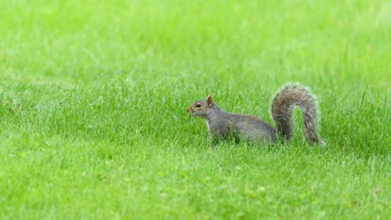 Velika pravna pobjeda Intuita: Sud ukinuo ograničenja za oglašavanje TurboTaxa