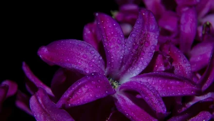 Croatia Rally – reli koji oduševljava svijet i jača hrvatsku imidž