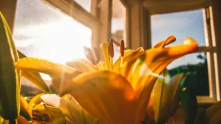 Poskupljenje goriva: kako se pripremiti i što očekivati