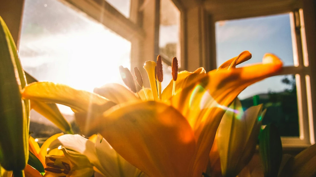 Poskupljenje goriva: kako se pripremiti i što očekivati