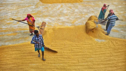 Mladenić među prvima pogubljenim zbog prosvjeda protiv vlasti u Iranu