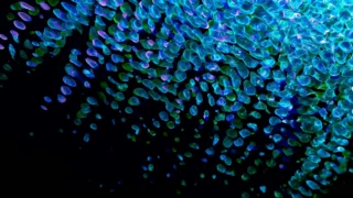 Ray-Ban Meta: Novi val proširene stvarnosti i utjecaj na privatnost