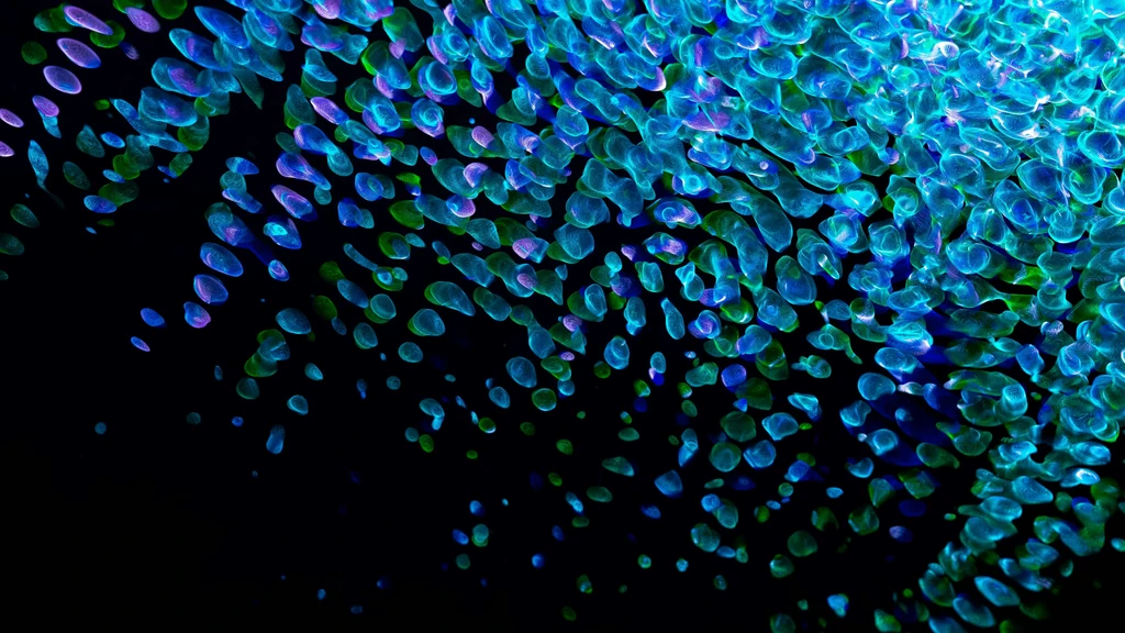 Ray-Ban Meta: Novi val proširene stvarnosti i utjecaj na privatnost