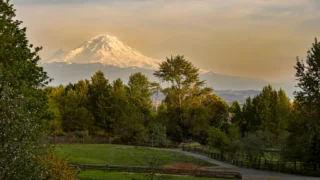 Kako zakon o ograničavanju samopreferiranja velikih tehnoloških tvrtki može utjecati na hrvatsko tržište