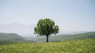 25 godina hrvatskog internetskog razmjenjivača: CIX – ključna infrastruktura za digitalnu suverenost