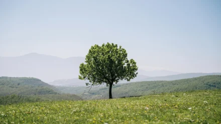 25 godina hrvatskog internetskog razmjenjivača: CIX – ključna infrastruktura za digitalnu suverenost