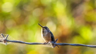 Sud odlučuje: Bill Cosby je seksualno napao ženu 1972. godine – kazna od 19 milijuna dolara