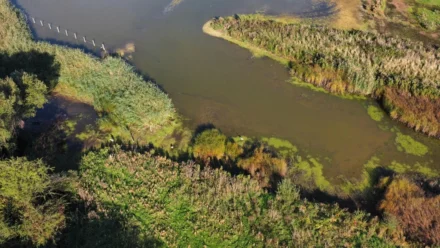 WRC Croatia Rally 2024: Elitne posade i domaći talenti na Kvarneru